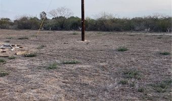 4153 Fm 625 Lot 21, Alice, TX 78332