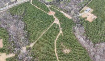Old Courthouse Road, Appomattox, VA 24522