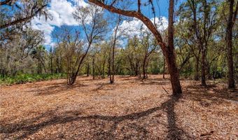 SE Hwy 31, Arcadia, FL 34266