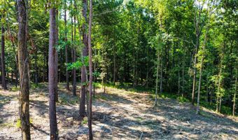 0 Backway Rd, Lincolnton, GA 30817