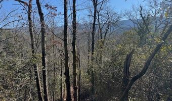 1834 Bristol Ave, Andrews, NC 28901