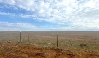 54 Farms, Abernathy, TX 79311