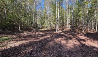 0 Slasham Rd, Ashville, AL 35953