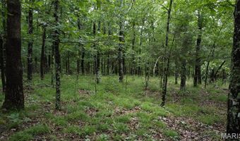 13 Hidden Vly Lks, Annapolis, MO 63620