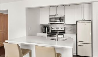 119 E Cooper Ave 25, Aspen, CO 81611