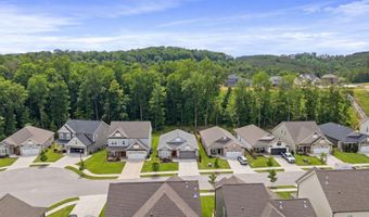 3561 Haystack Ln, Apison, TN 37302