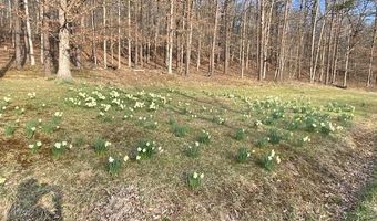 1367 ED ARNOLD Rd, Augusta, WV 26704
