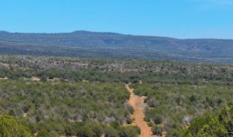 Stagecoach Dr 47 Acres, Ash Fork, AZ 86320