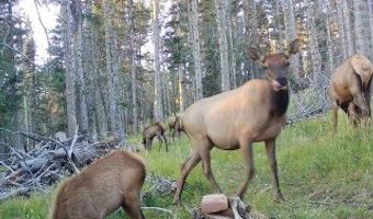 Lot 1267 STARLIGHT OVERLOOK, Angel Fire, NM 87710