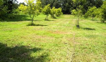1071 LR 3, Ashdown, AR 71822