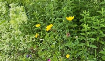 45 Freedom Rd, Belgrade, ME 04917