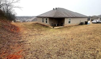 11 Erwin Dr, Austin, AR 72007