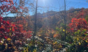 Musket Dr lot 66, Almond, NC 28702