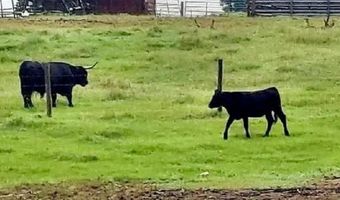 9447 Clarks Mill Rd, Avera, GA 30803