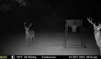 000 Hwy 105, Atkins, AR 72823