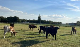 7770 WESTSIDE Rd, Anthony, TX 79821