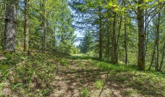 25308 NW MOUNTAIN Dr, Banks, OR 97106