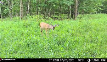 566 A Tunnel Ridge Rd, Argillite, KY 41121