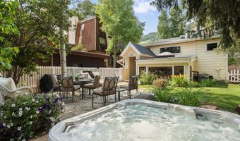 214 W Hyman Ave, Aspen, CO 81611