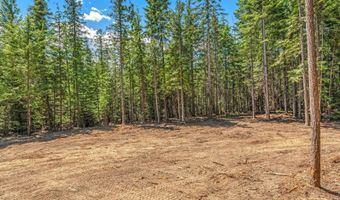 Nka Wandering Wolf Ridge Lot 3, Clark Fork, ID 83811