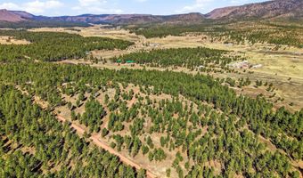 N2147, Alpine, AZ 85920