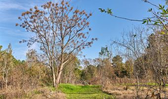 1541 Frank Hall Rd, Bolton, MS 39041