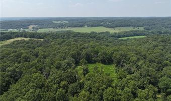 71 8 Klondike Rd, Anderson, MO 64831