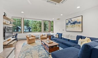 926 Waters Ave 301, Aspen, CO 81611