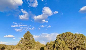 47 County Rd 8306 165, Concho, AZ 85924