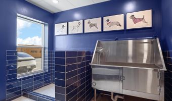 21731 DOVEKIE Ter #205, Ashburn, VA 20147