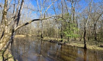 Bogue Chitto Road, Bogue Chitto, MS 39629