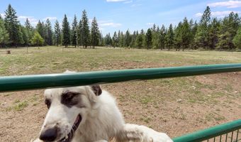 171 Star Rd, Bonners Ferry, ID 83805
