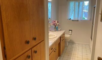 96 Valley View Ln, Challis, ID 83226