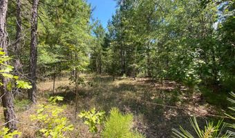 0 County Road 4507, De Kalb, TX 75559
