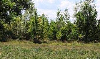 1796 Serene Pl, Berthoud, CO 80513