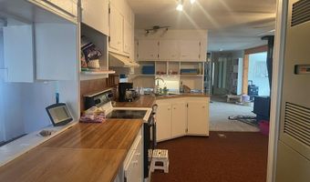 900 Challis Creek Rd, Challis, ID 83226