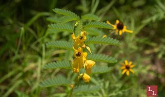 Teal Road, Ardmore, OK 73401