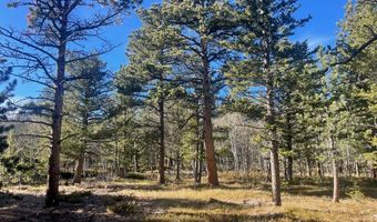 399 N Skinner Rd, Allenspark, CO 80510