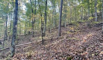 31 32 33 Maverick Dr, Ashville, AL 35953