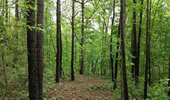 536 COUNTY ROAD 3902, Arley, AL 35541