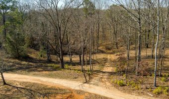 170 Sperin Cabinet Shop Rd, Ball Ground, GA 30107