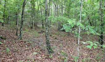 E Mountain Road, Bee Branch, AR 72013
