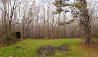 Maddox Road, Ackerman, MS 39735