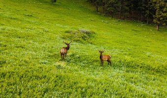 180 Styx Rd, Big Horn, WY 82833