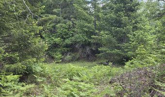 5784 River Rd, Clark Fork, ID 83811