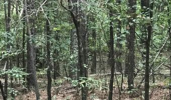 0 AURORA Dr 36, Alpine, AL 35014