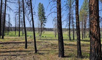Parazoo Trail Lot 2 Block 8, Bly, OR 97622