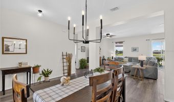203 STAR SHELL Dr, Apollo Beach, FL 33572