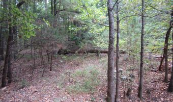 500 Cr 708, Blue Mountain, MS 38610