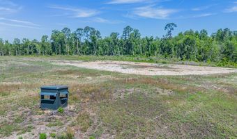 Chad Lake Rd, Alma, GA 31510